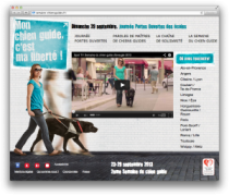 Site Chiens Guides Aperçu